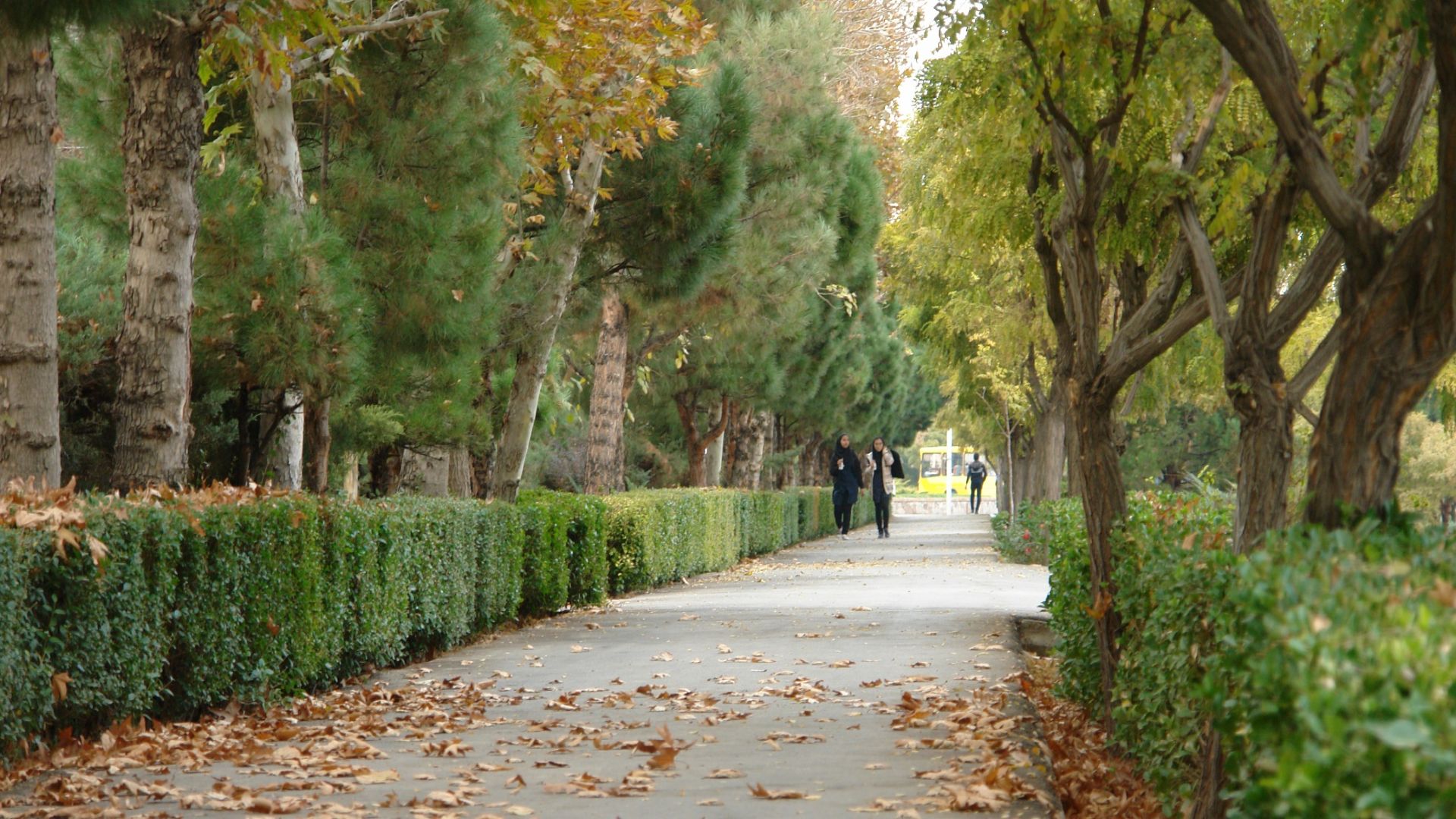 پردیس 