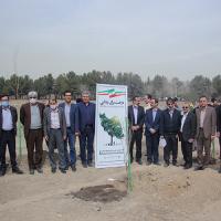 گرامیداشت روز درختکاری در دانشگاه فردوسی مشهد